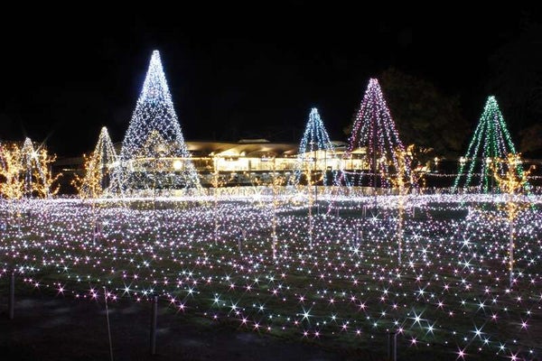 【静岡県内発】 クリスマスミステリー1